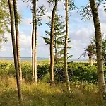 Between And Forest On Mors Oster Assels