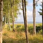 Between And Forest On Mors