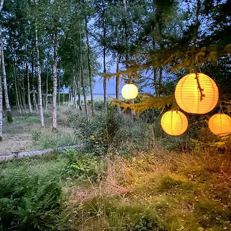 Between And Forest On Mors Oster Assels