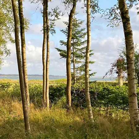 Between And Forest On Mors Oster Assels