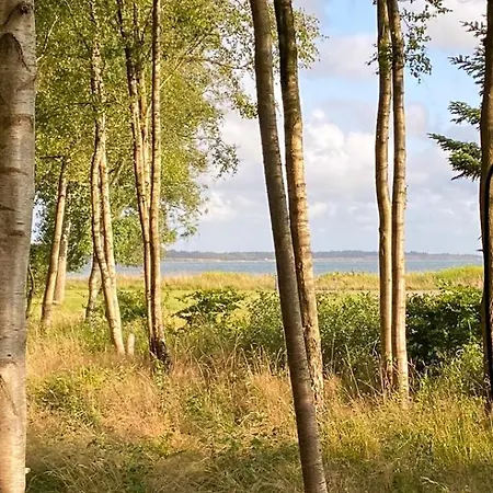 Between And Forest On Mors